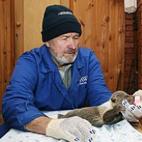 Валентин Пажетнов