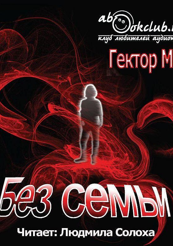 Аудиокнига без. Без семьи аудиокнига