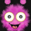 feny