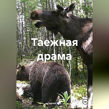 Таежная драма
