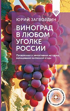 Виноград в любом уголке России. Проверенная и эффективная методика выращивания капризной ягоды