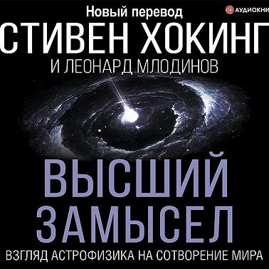 Высший замысел. Взгляд астрофизика на сотворение мира