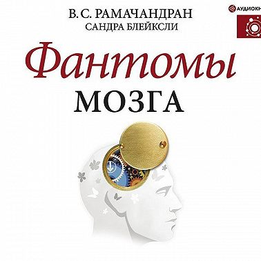 Фантомы мозга
