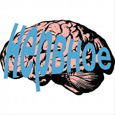 Критическое мышление.Принятие решений Что и как делать? Нервное №26