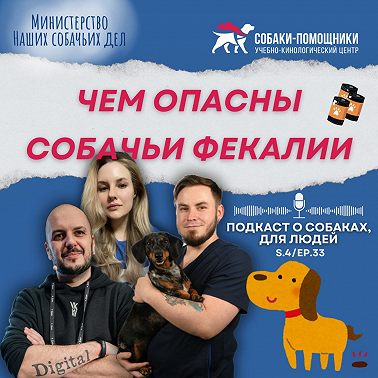 Собачьи экскременты. Физиологические и социальные нормы.