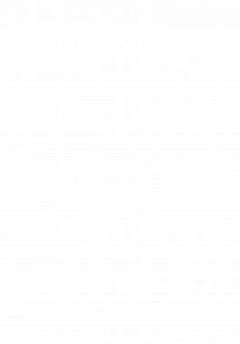 Путешествия пешеходов. По берегам Мозеля и Рейна