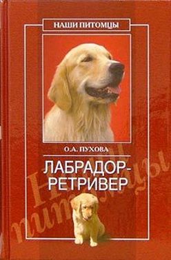 Лабрадор ретривер