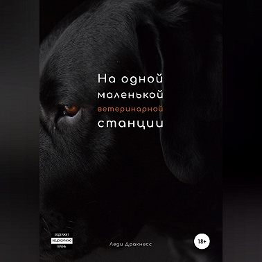 На одной маленькой ветеринарной станции