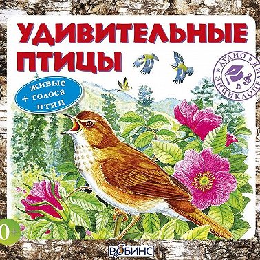 Удивительные птицы