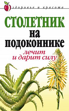 Столетник на подоконнике. Лечит и дарит силу