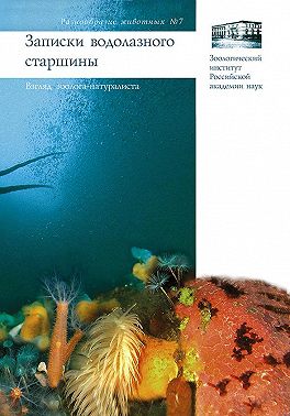 Записки водолазного старшины. Взгляд зоолога-натуралиста