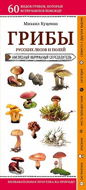 Грибы русских лесов и полей