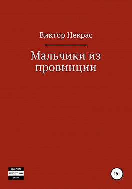 Мальчики из провинции