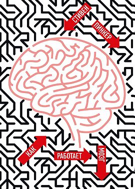 Как работает мозг
