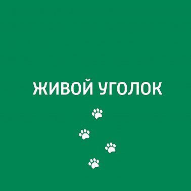 Перевозка животных на дачу и отдых