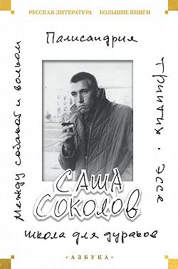 Школа для дураков. Между собакой и волком. Палисандрия. Эссе. Триптих