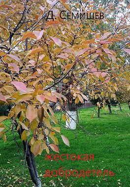 Жестокая добродетель