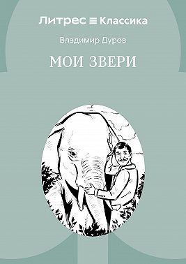 Мои звери