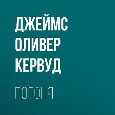 Погоня