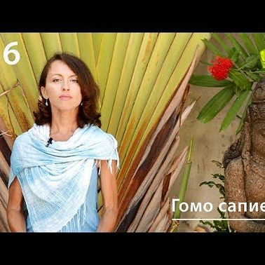 Гомо сапиенс: причины и поводы гомосексуального поведения