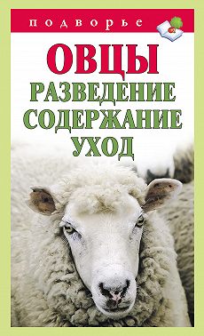 Овцы. Разведение. Содержание. Уход