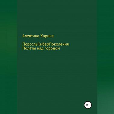 ПКП. Полеты над городом
