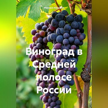 Виноград