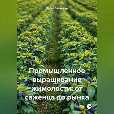 Промышленное выращивание жимолости: от саженца до рынка