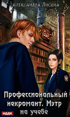 Профессиональный некромант. Мэтр на учебе