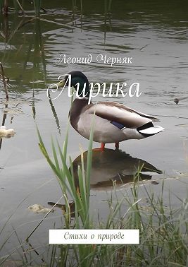 Лирика. Стихи о природе