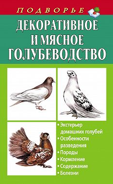 Декоративное и мясное голубеводство