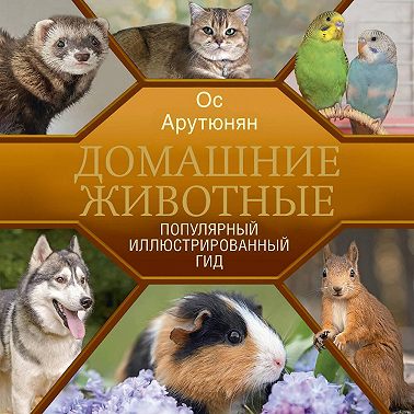 Домашние животные