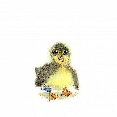 М.М.Пришвин "Хромка"