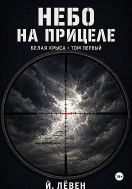 Небо на прицеле