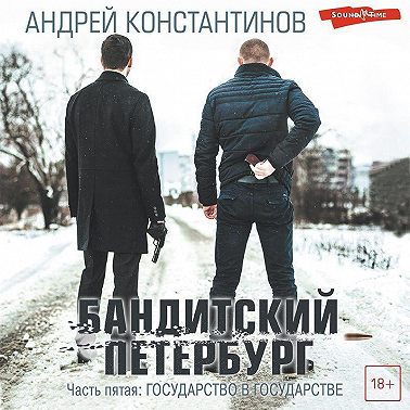 Бандитский Петербург. Часть пятая. Государство в государстве
