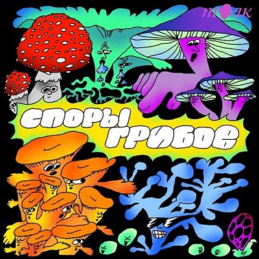 1. Стоит ли бояться грибов?