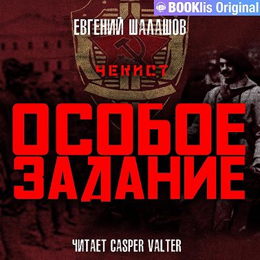 Чекист. Особое задание