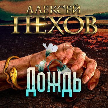 Дождь