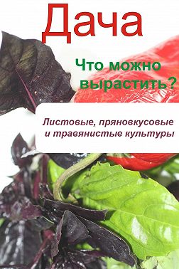 Что можно вырастить? Листовые, пряновкусовые и травянистые культуры