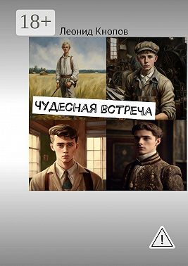 Чудесная встреча