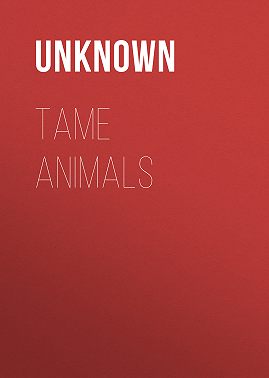 Tame Animals