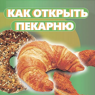 ОТКРЫТЬ ХЛЕБОПЕКАРНЮ. Денис Машков.