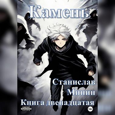 Камень. Книга двенадцатая