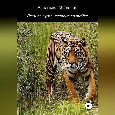 Летнее путешествие по тайге