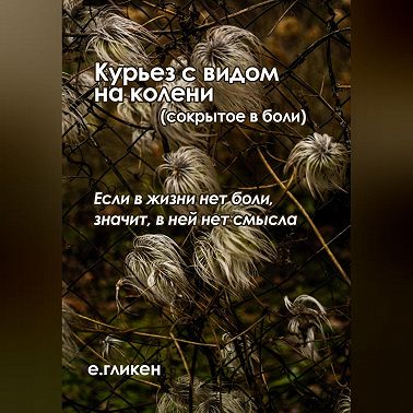 Курьез с видом на колени (сокрытое в боли)