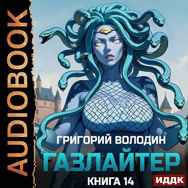 Газлайтер. Книга 14