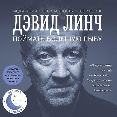 Поймать большую рыбу. Медитация, осознанность, творчество
