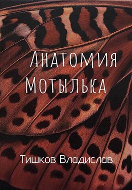 Анатомия Мотылька