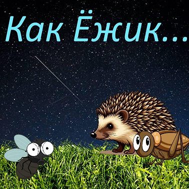 Ёжик из нашего сада, или как Ёжик…