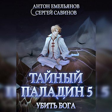 Тайный паладин 5. Убить бога